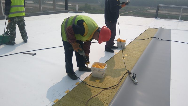 案例分析：某别墅外墙防水工程**